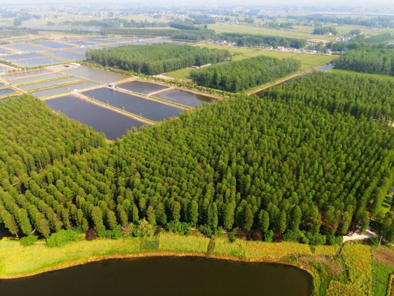 Grüne, zauberhafte Freizeitaktivitäten mit der Familie, fünf neue Parks in China