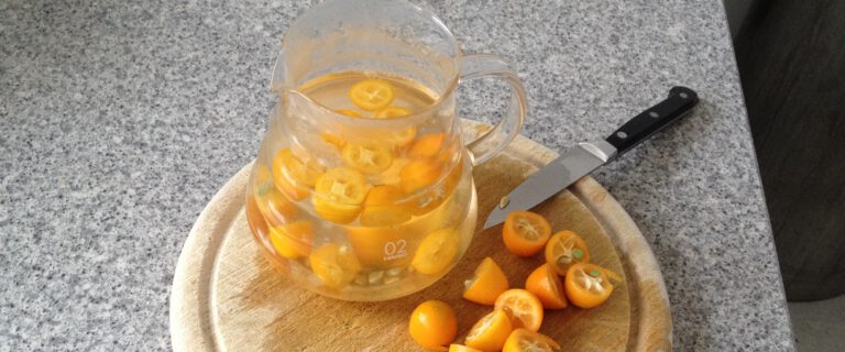 Kumquat-Früchtetee, die chinesische Antwort auf amerikanische Limonade