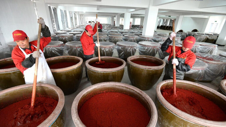 Geschichte der chinesischen Bäckerhefe