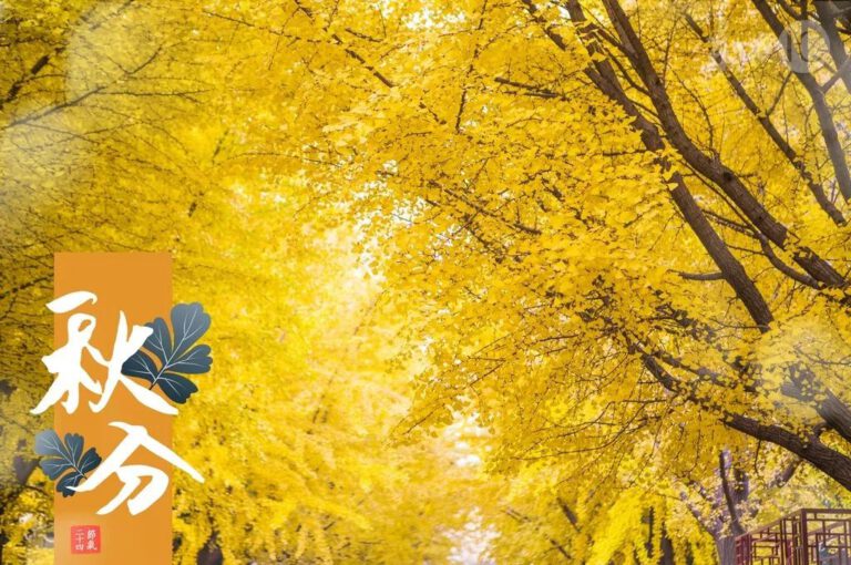 Qiu Fen: Goldener Herbst, eine Zeit der Ernte und des Festes