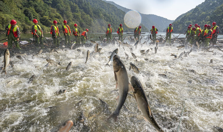 Elfe-See: Fischfang im Herbst