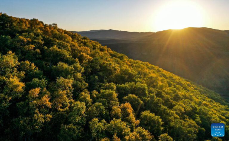 Wunderschöne Herbstlandschaft in Nordchina