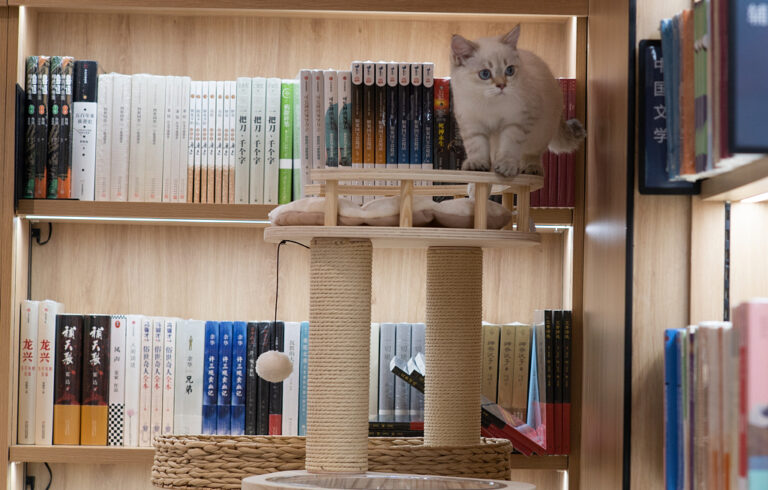 Beijing: Erste Haustier-Xinhua-Buchhandlung eröffnet