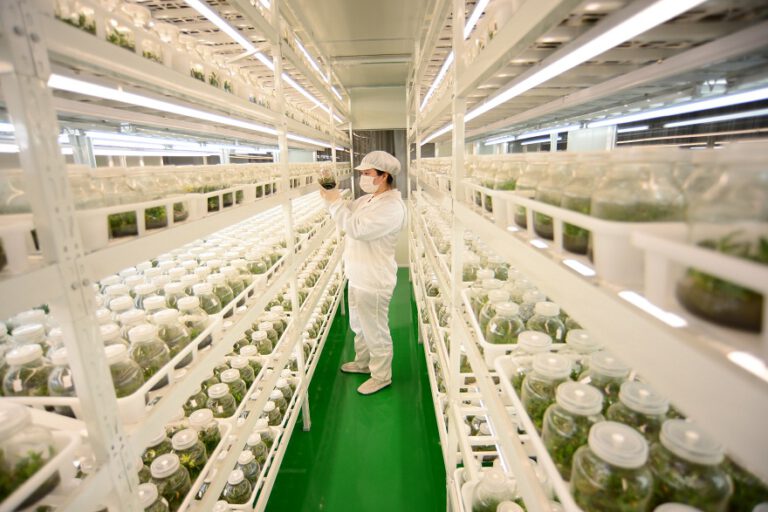 Intelligente Landwirtschaft läuft in Anhui auf Hochtouren