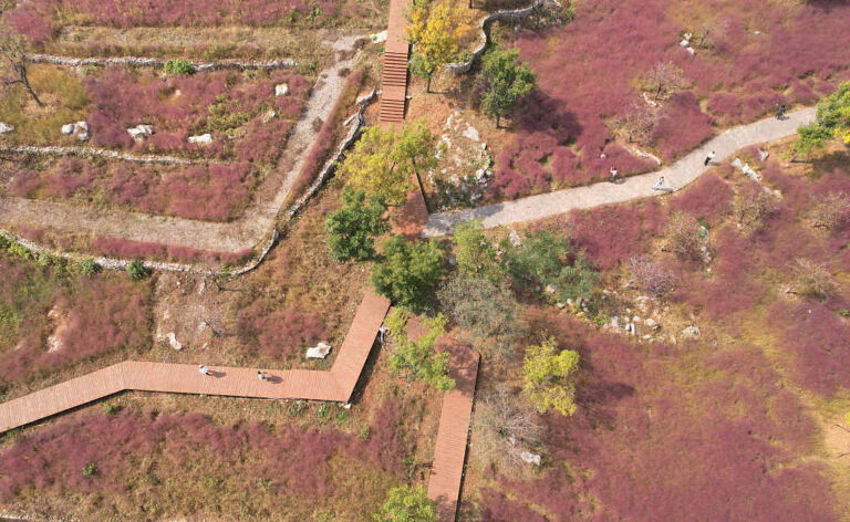 Die pinkfarbene Welt von Rosa Haargras