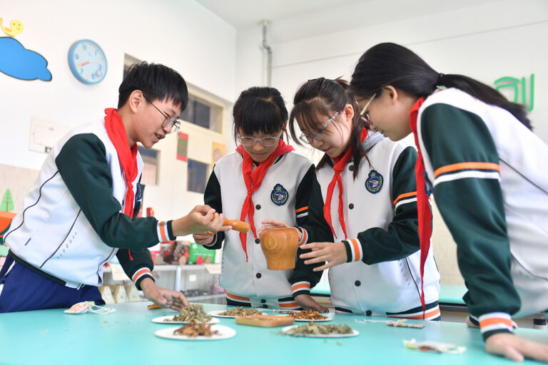 Qingdao: Gründschüler lernen den Charme der TCM kennen