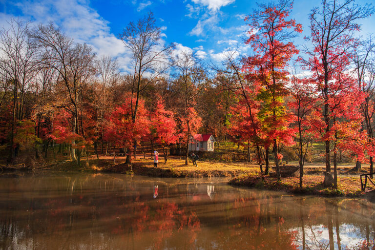 Roter Herbst in Nordostchina