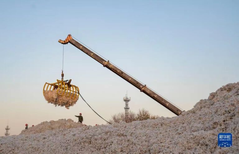 Baumwollerntesaison in Xinjiang beginnt