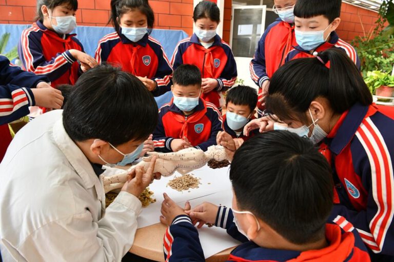 Hebei: Popularisierung von TCM im Grundschulunterricht
