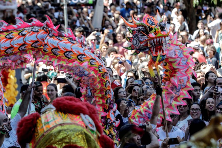 Die chinesische Diaspora im Ausland