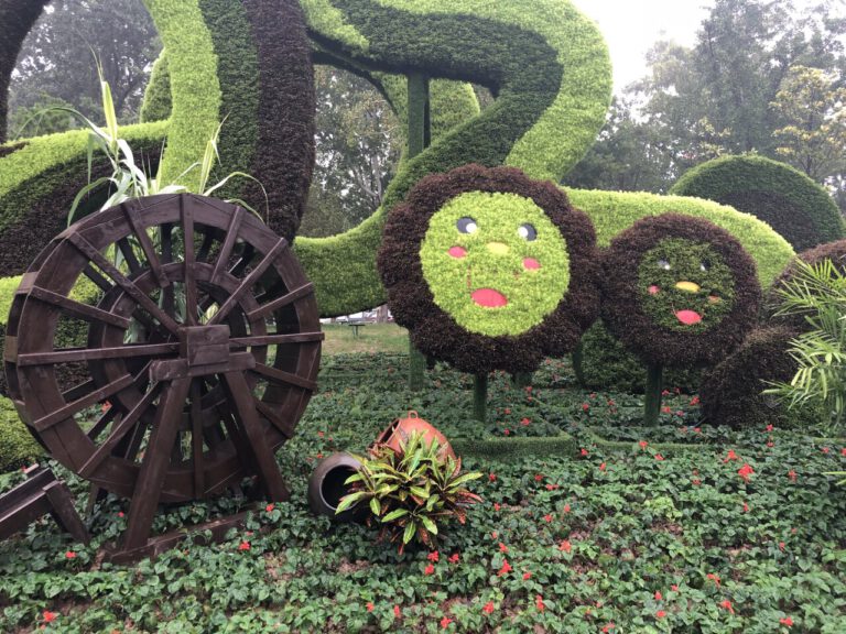 Schöner Ahornwald im Quancheng-Park in Jinan