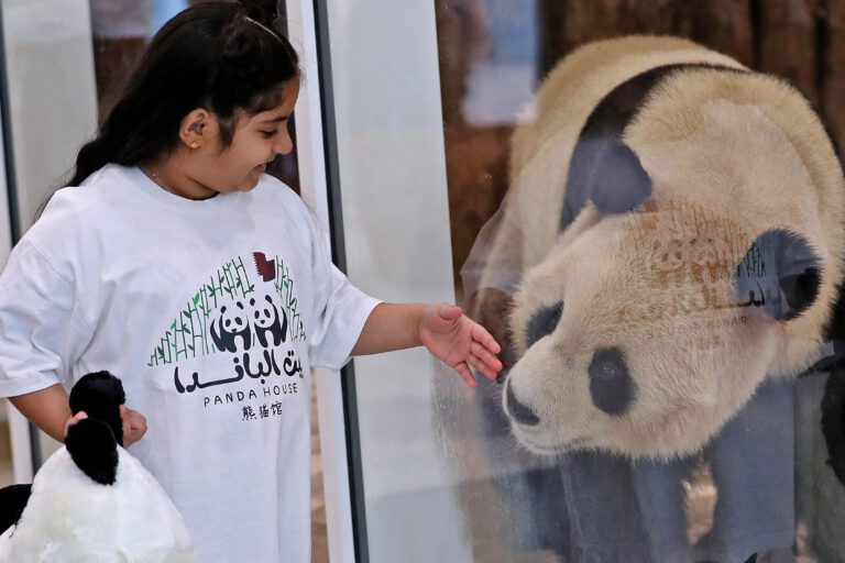 China und der Nahe Osten: 190kg Felltiere und Diplomatie