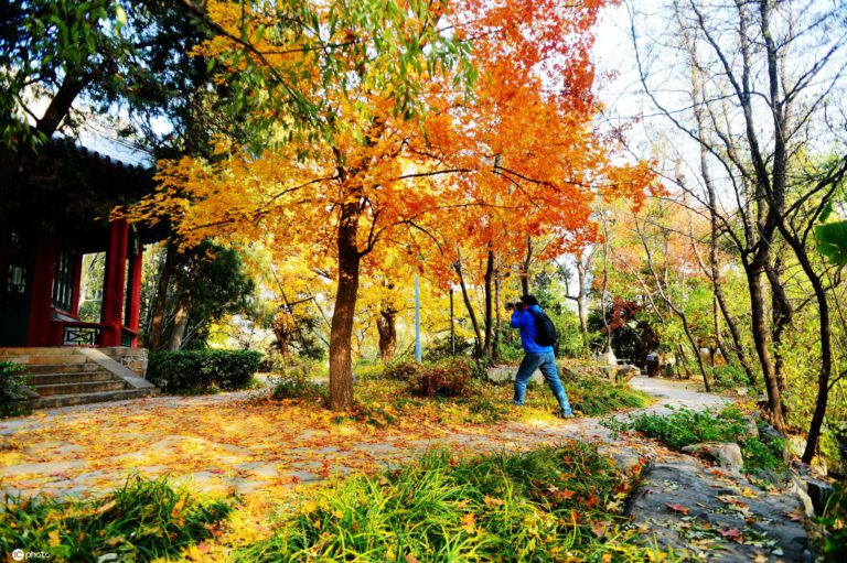 Herbstlandschaft in Beijing