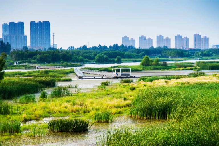 Harbin – eine „internationale Feuchtgebietsstadt“