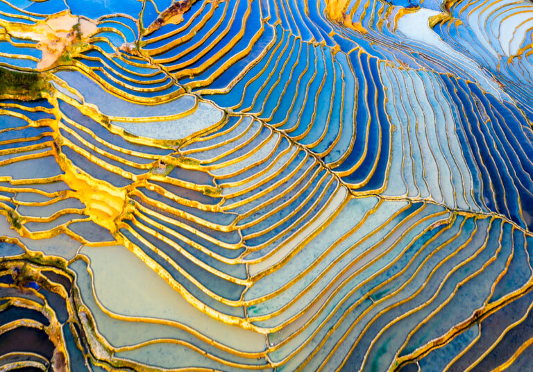 Yunnan will seine Rolle als Vorreiter ökologischer Zivilisationsentwicklung noch besser entfalten