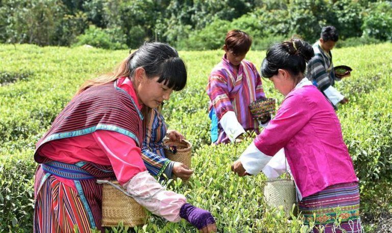 Motuo – ein tibetischer Kreis auf dem Weg einer grünen Entwicklung
