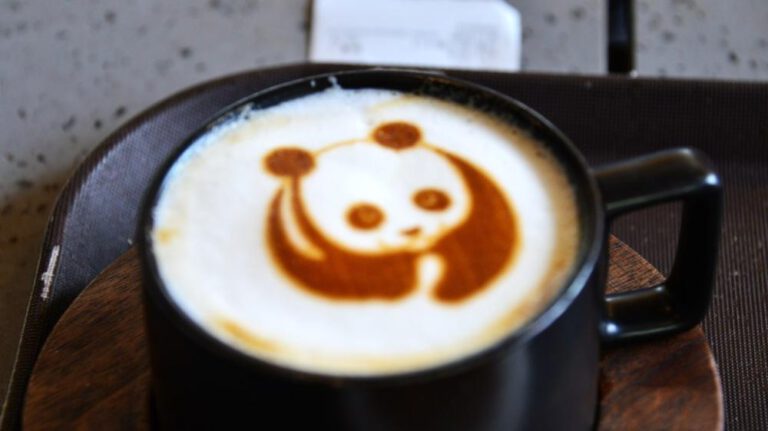 Panda Café im Beijinger zoologischen Garten