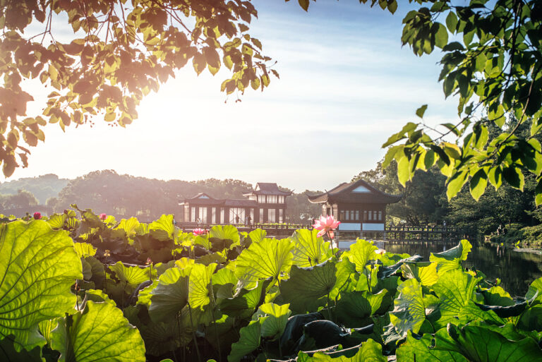 Kleine Hitze: Chinesische Weisheiten, um im Sommer kühl zu bleiben