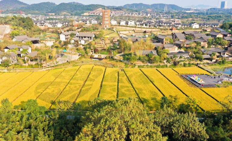 Zhejiang: Neuer Look für Dorferneuerung