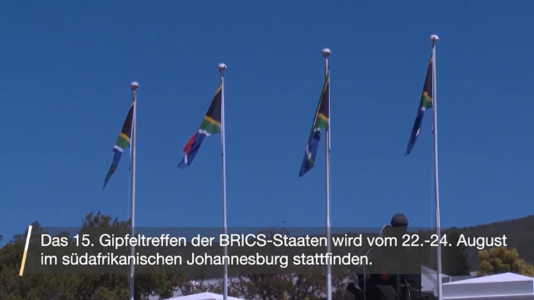 Die „Kraft der BRICS“ zur Förderung der Entwicklung der Welt