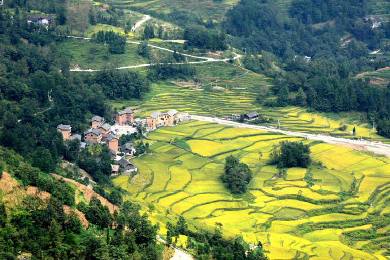 Atemberaubende Terrassenfelder in Congjiang