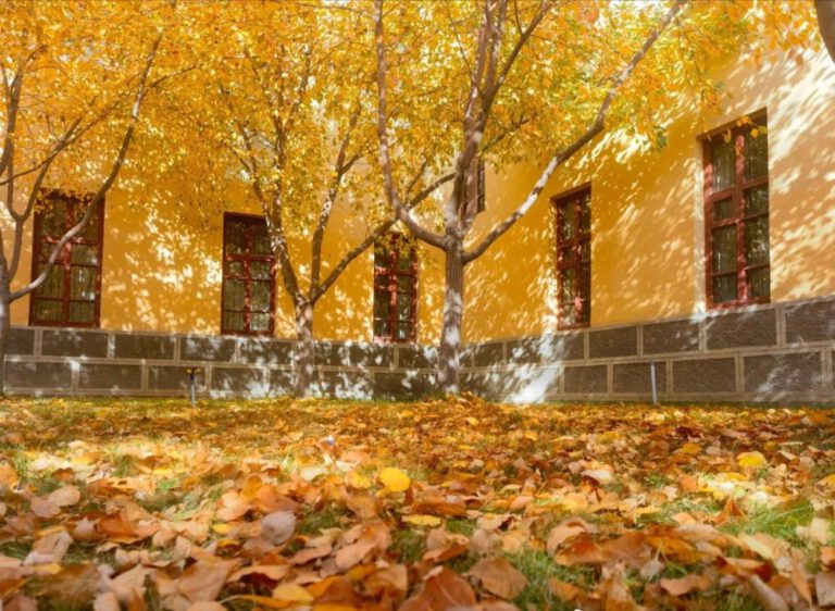 Herbstlandschaften in Xinjiang