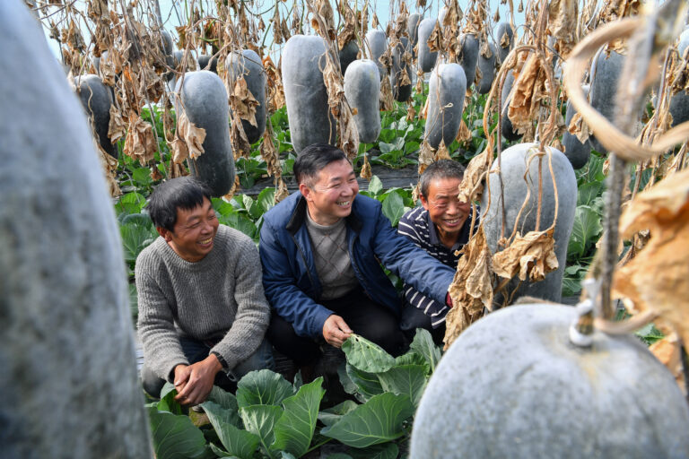 Projekt hilft, ländliche Gebiete in Tibet mit Obst und Gemüse zu versorgen