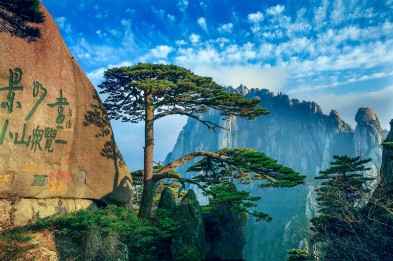 Natur pur – Wunderschöne Wälder in China