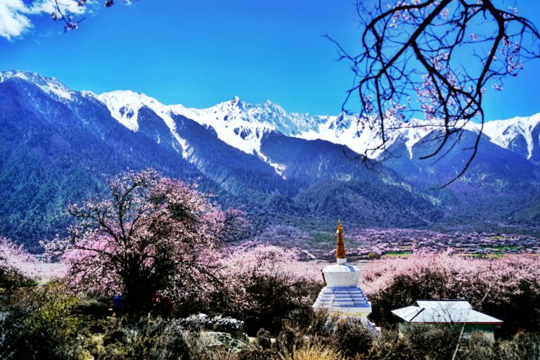 Blumenpracht in Lhasa