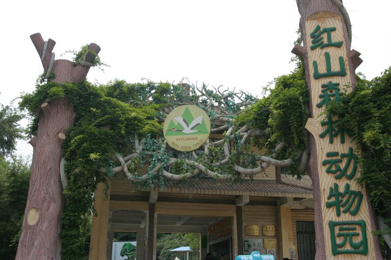 Shen Zhijun – Der „König der Tiere“ im Hongshan Forest Zoo