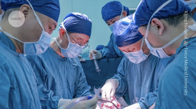 Groundbreaking Milestone: China Achieves World’s First Human Pig Liver Transplantation