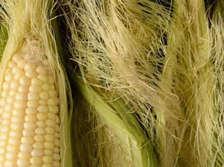 Chinese Scientists Successfully Transform Corn into Clothing in Eight Years, Where Others Have Failed