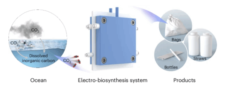 Chinese Scientists Develop Artificial Oceanic Carbon Cycle System to Combat Acidification and Enable Green Manufacturing