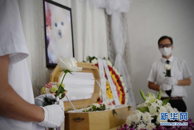 China’s Pet Funeral Industry Reflects a Changing Relationship with Animals