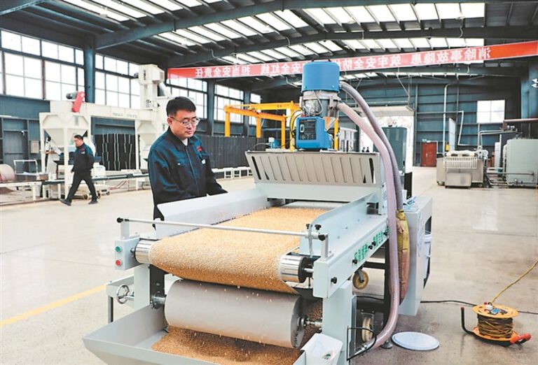 Printing Rice Seeds: How a Simple Sheet of Paper Is Changing Rice Farming in China