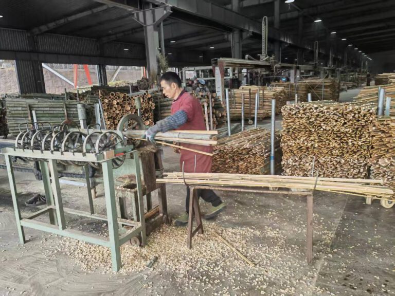 Replacing Plastic, Reducing Oil Dependence: How China Is Turning Bamboo Into a Sustainable Industrial Future