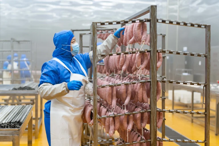 A Billion-Dollar Food Empire: How A Small Chinese County Is Betting on Pigs to Transform Its Economy
