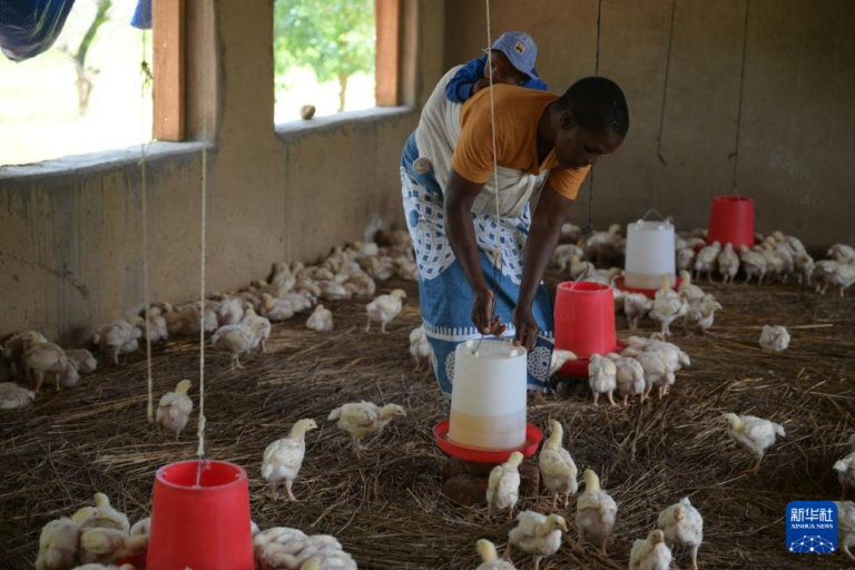 China Deepens Long-Term Assistance and Cooperation with Zimbabwe to Promote Development and Improve Livelihoods